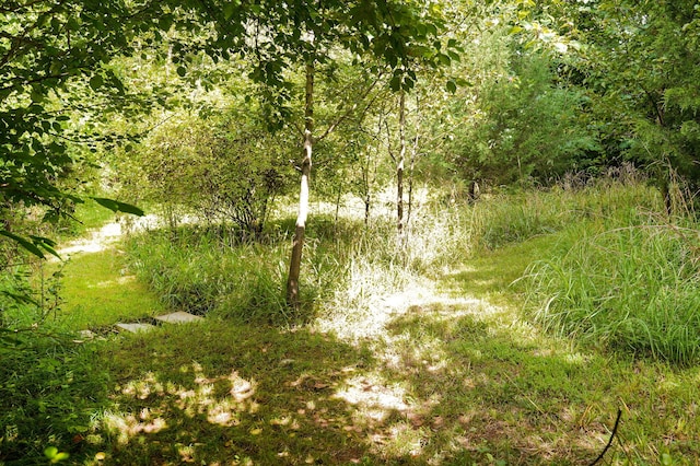 2001 S 16th Ave, Ozark, MO 65721 - view of woods