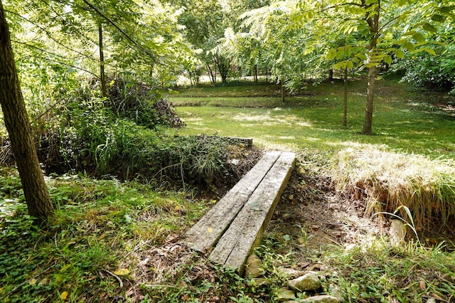 2001 S 16th Ave, Ozark, MO 65721 - view of grassy yard