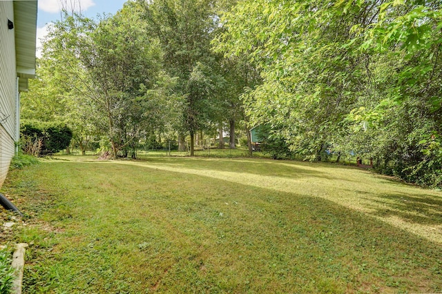 2001 S 16th Ave, Ozark, MO 65721 - view of grassy yard