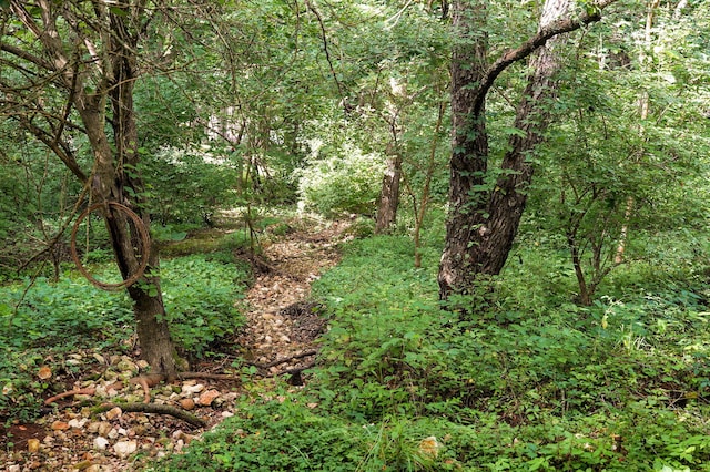 2001 S 16th Ave, Ozark, MO 65721 - view of woods