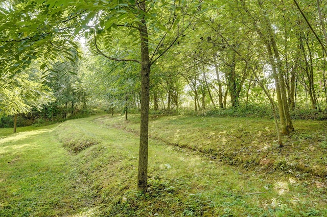 2001 S 16th Ave, Ozark, MO 65721 - view of green lawn featuring a wooded view