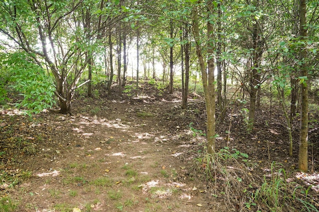 2001 S 16th Ave, Ozark, MO 65721 - view of undeveloped land