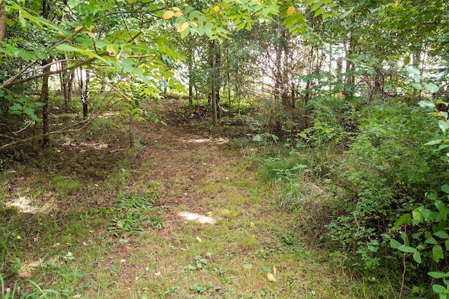 2001 S 16th Ave, Ozark, MO 65721 - view of local wilderness