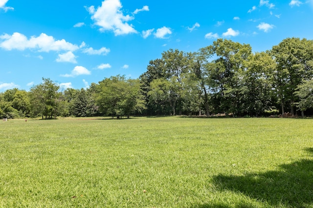 120 E Kennedy Blvd, Buffalo, MO 65622 - view of green lawn featuring a forest view