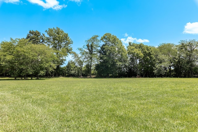 120 E Kennedy Blvd, Buffalo, MO 65622 - view of green lawn