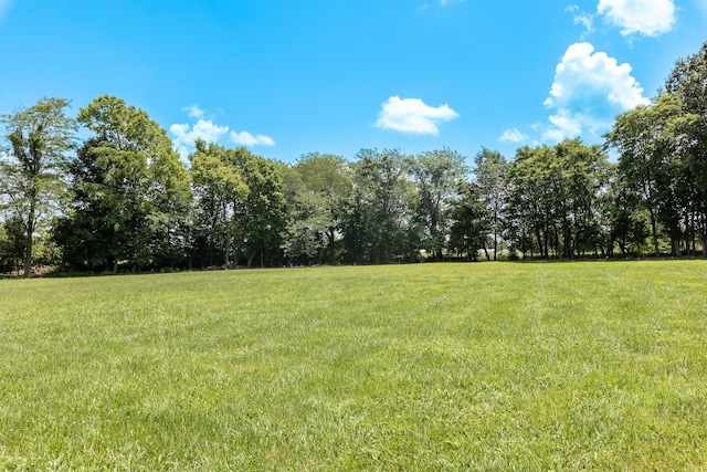 120 E Kennedy Blvd, Buffalo, MO 65622 - view of green lawn