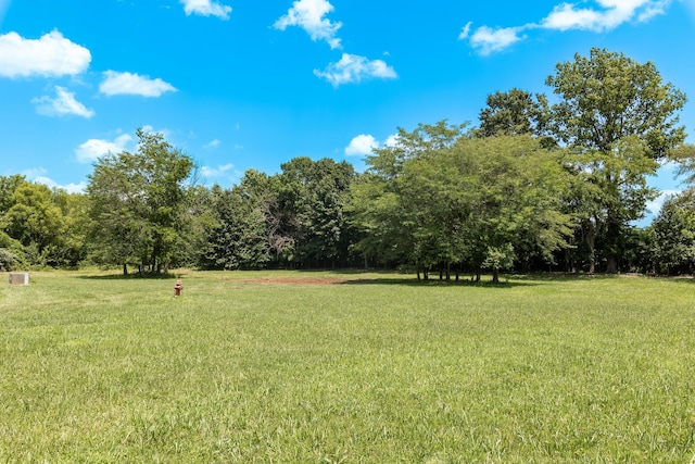 120 E Kennedy Blvd, Buffalo, MO 65622 - view of green lawn