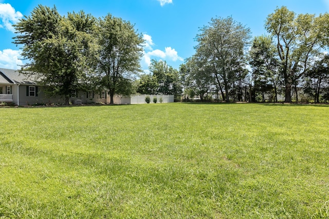 120 E Kennedy Blvd, Buffalo, MO 65622 - view of green lawn