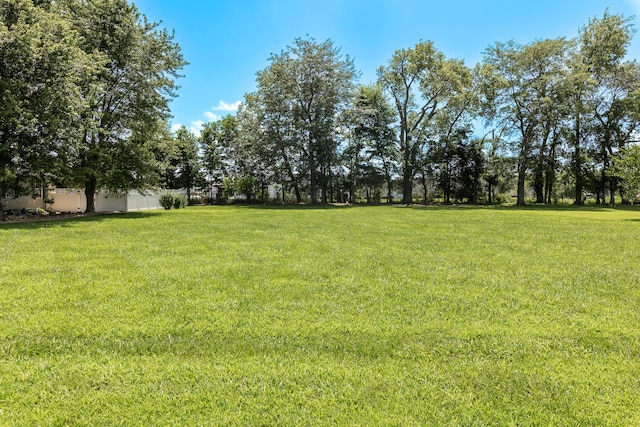 120 E Kennedy Blvd, Buffalo, MO 65622 - view of grassy yard
