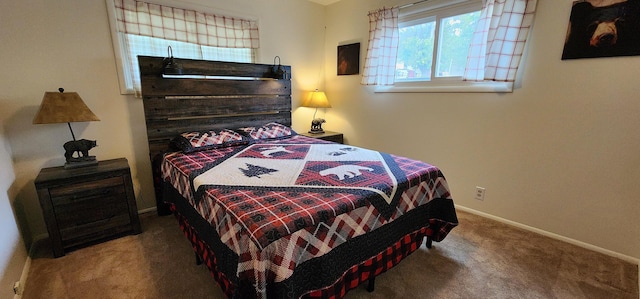 201 Eastlake St, Branson, MO 65616 - photo 20