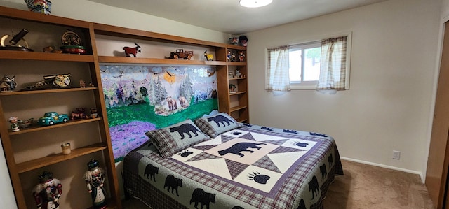 201 Eastlake St, Branson, MO 65616 - photo 21