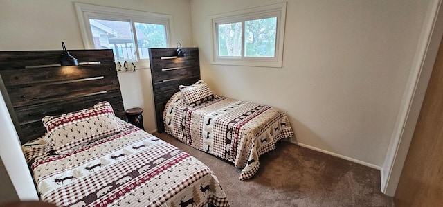 201 Eastlake St, Branson, MO 65616 - photo 23