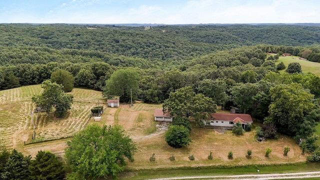 625 Hardin Hills Dr, Galena, MO 65656 - photo 1