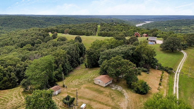 625 Hardin Hills Dr, Galena, MO 65656 - photo 34