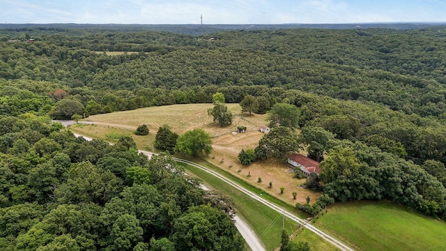 625 Hardin Hills Dr, Galena, MO 65656 - photo 27