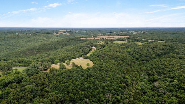 625 Hardin Hills Dr, Galena, MO 65656 - photo 42