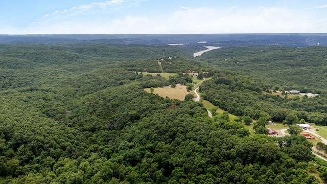 625 Hardin Hills Dr, Galena, MO 65656 - photo 39