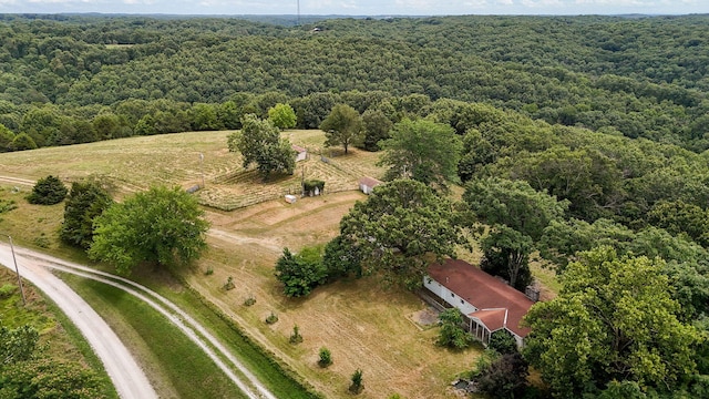 625 Hardin Hills Dr, Galena, MO 65656 - photo 4