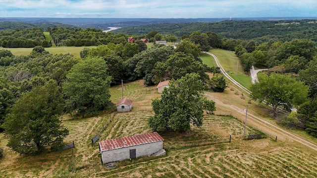 625 Hardin Hills Dr, Galena, MO 65656 - photo 36