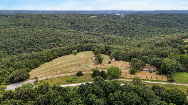 625 Hardin Hills Dr, Galena, MO 65656 - photo 2