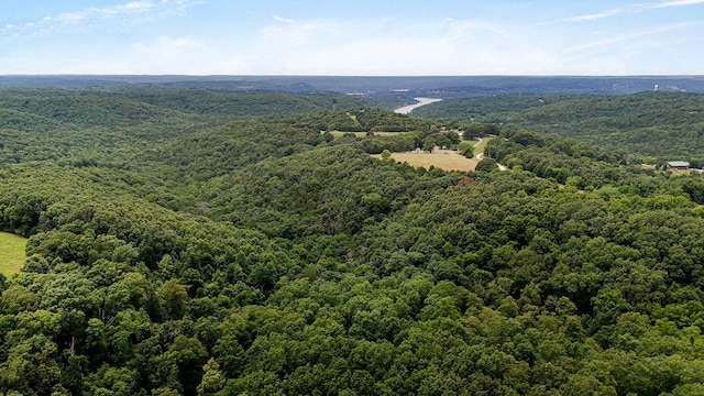 625 Hardin Hills Dr, Galena, MO 65656 - photo 40