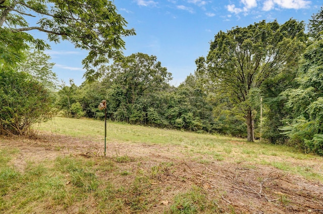 625 Hardin Hills Dr, Galena, MO 65656 - photo 31