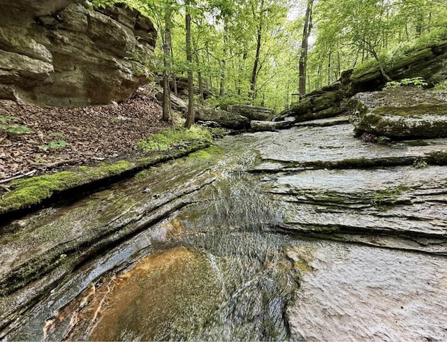 000 Horton Rd, Rocky Comfort, MO 64861 - photo 8