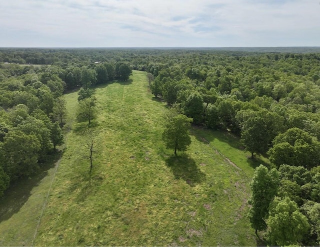 000 Horton Rd, Rocky Comfort, MO 64861 - photo 12