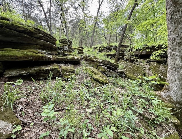 000 Horton Rd, Rocky Comfort, MO 64861 - photo 7