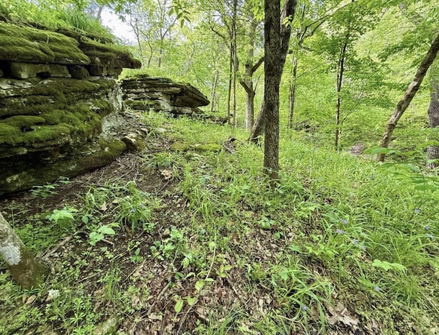000 Horton Rd, Rocky Comfort, MO 64861 - photo 11