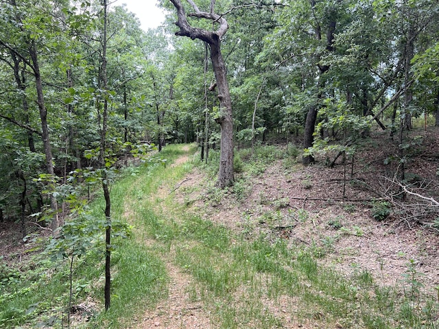 000 Horton Rd, Rocky Comfort, MO 64861 - photo 22