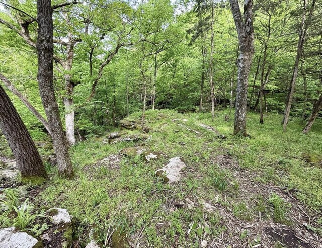 000 Horton Rd, Rocky Comfort, MO 64861 - photo 6
