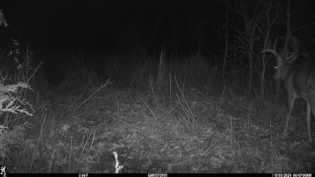 000 Horton Rd, Rocky Comfort, MO 64861 - photo 16