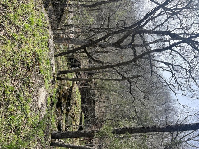 000 Horton Rd, Rocky Comfort, MO 64861 - photo 24