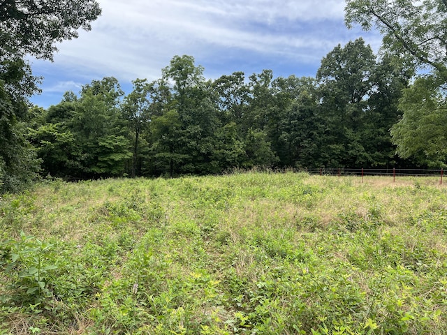 000 Horton Rd, Rocky Comfort, MO 64861 - photo 36