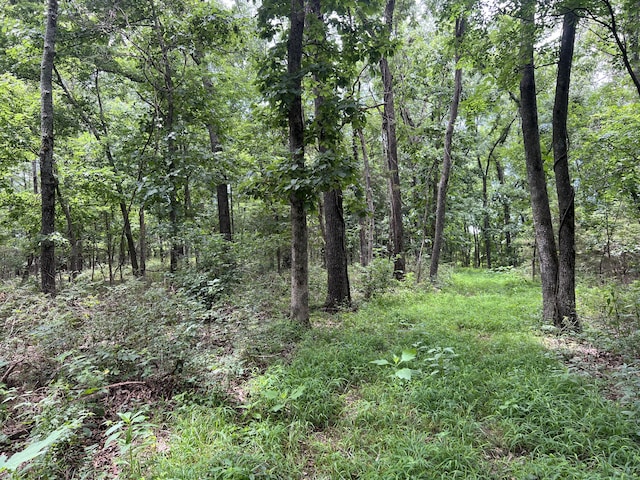 000 Horton Rd, Rocky Comfort, MO 64861 - photo 34
