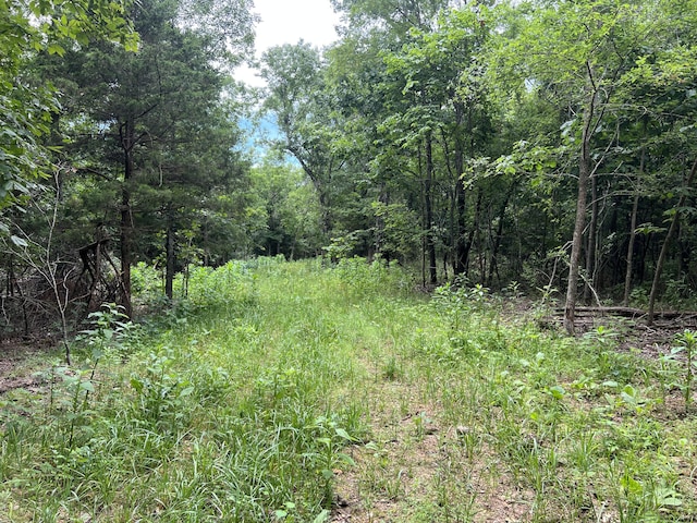 000 Horton Rd, Rocky Comfort, MO 64861 - photo 35