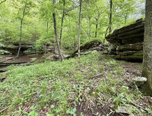 000 Horton Rd, Rocky Comfort, MO 64861 - photo 5