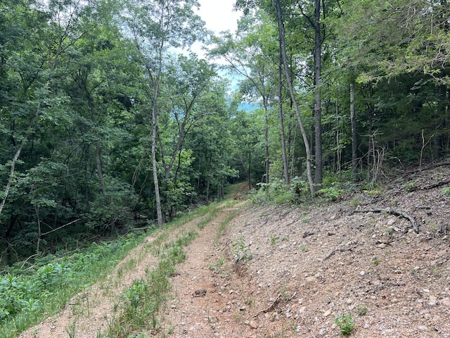 000 Horton Rd, Rocky Comfort, MO 64861 - photo 20