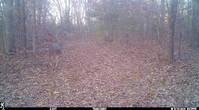 000 Horton Rd, Rocky Comfort, MO 64861 - photo 15