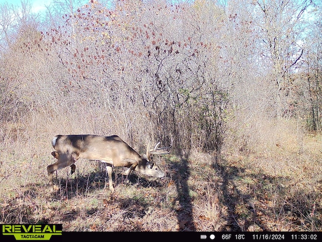 000 Horton Rd, Rocky Comfort, MO 64861 - photo 19
