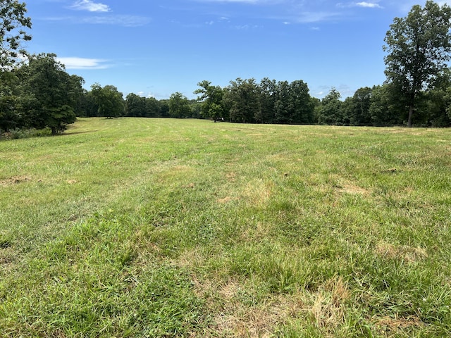 000 Horton Rd, Rocky Comfort, MO 64861 - photo 31