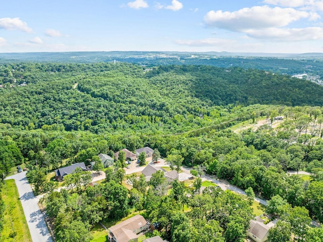 122 Thomas Eugene Dr, Branson, MO 65616 - photo 44