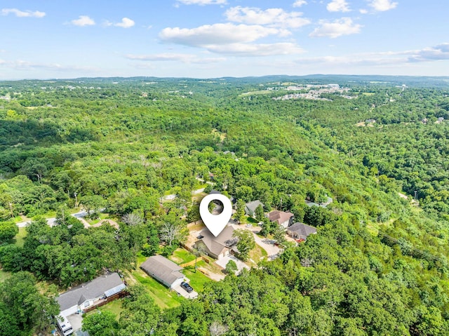 122 Thomas Eugene Dr, Branson, MO 65616 - photo 42