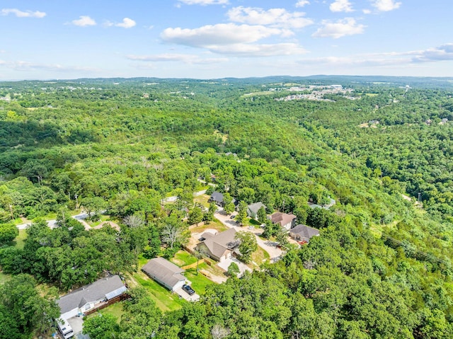122 Thomas Eugene Dr, Branson, MO 65616 - photo 41