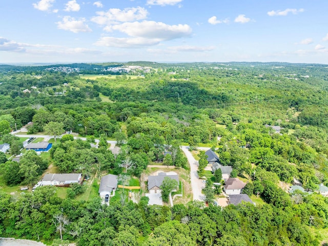 122 Thomas Eugene Dr, Branson, MO 65616 - photo 40