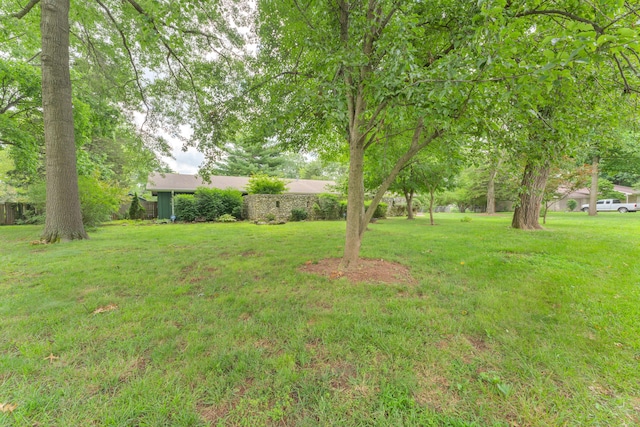 4706 S Kelly Ave, Springfield, MO 65804 - photo 10