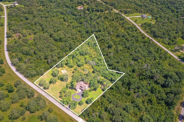 184 Maple Rdg, Forsyth, MO 65653 - photo 50
