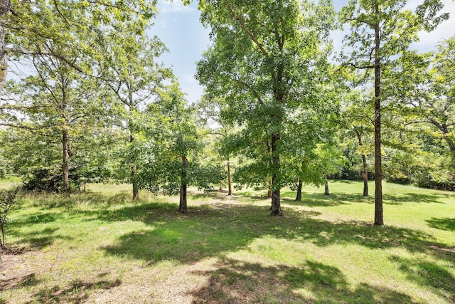 184 Maple Rdg, Forsyth, MO 65653 - photo 47