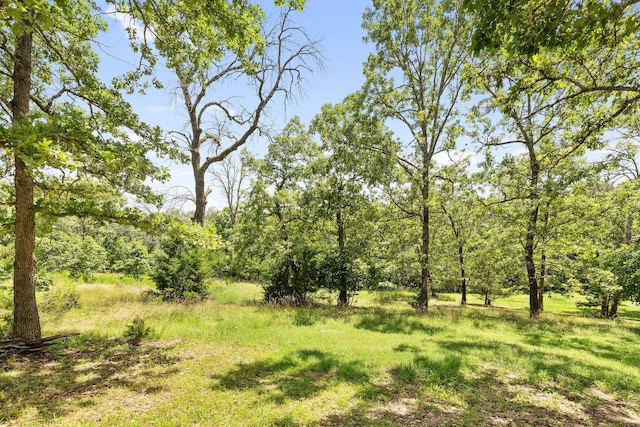184 Maple Rdg, Forsyth, MO 65653 - photo 46